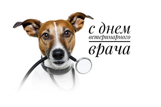 Картинки с праздником