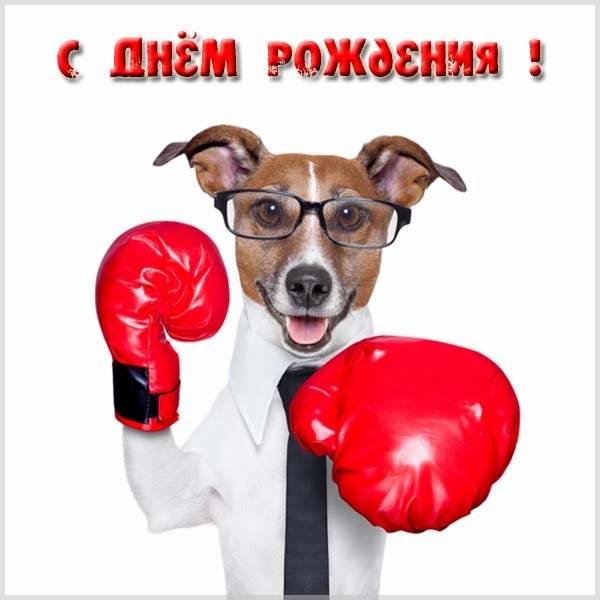 Картинки для спортсмена