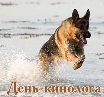 Картинки с праздником