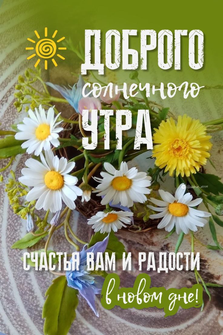 Утренние картинки