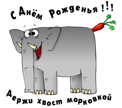 Картинки смешные