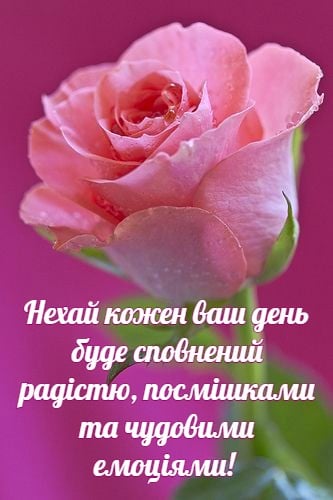 Утренние картинки