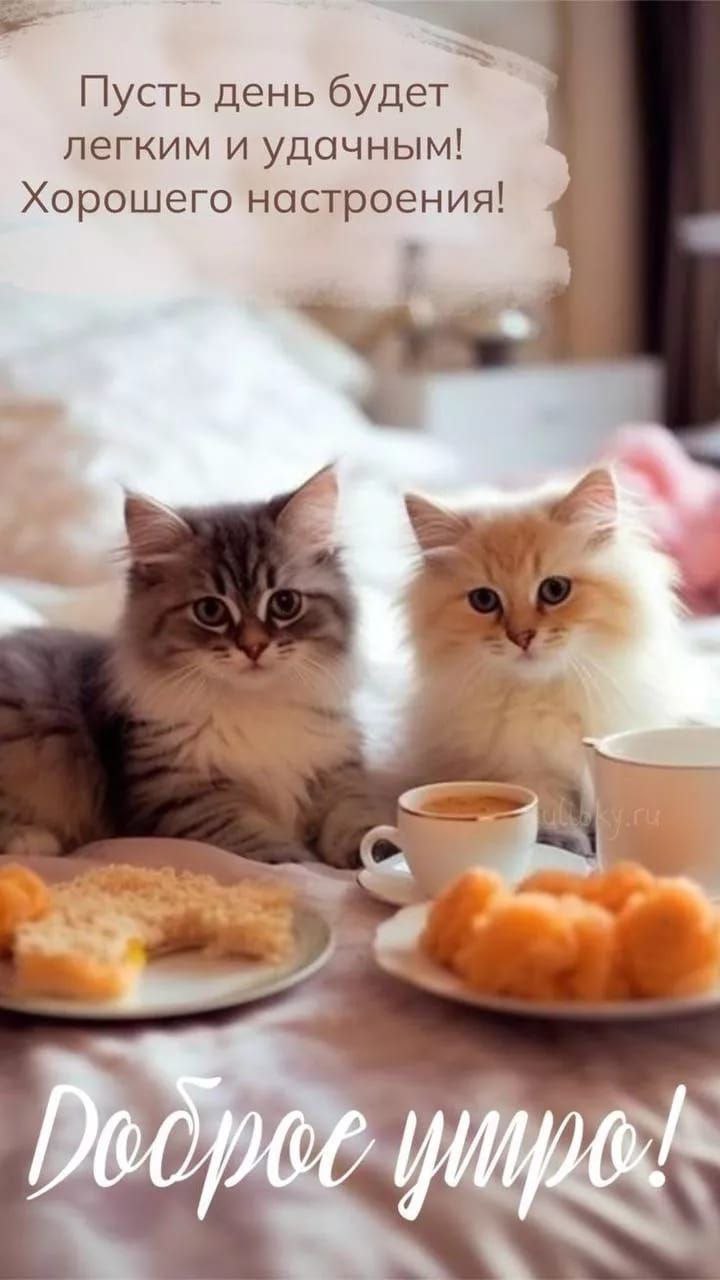 Утренние картинки