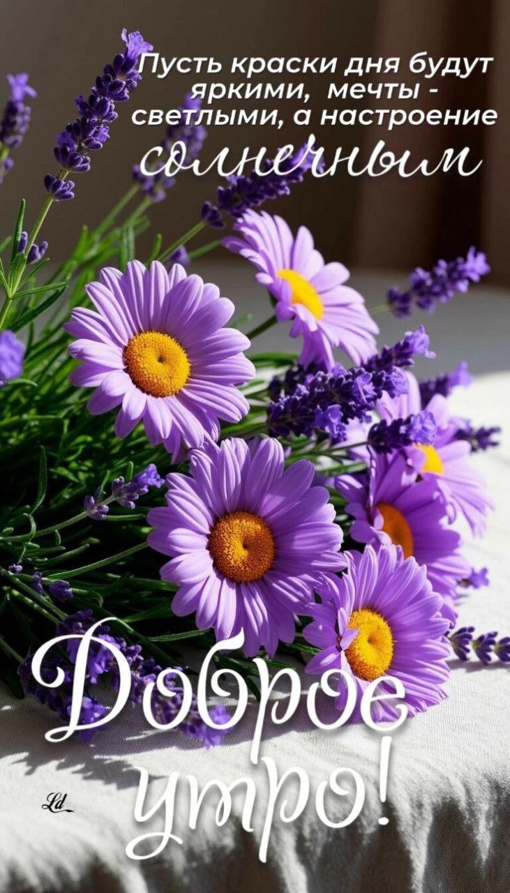 Утренние картинки