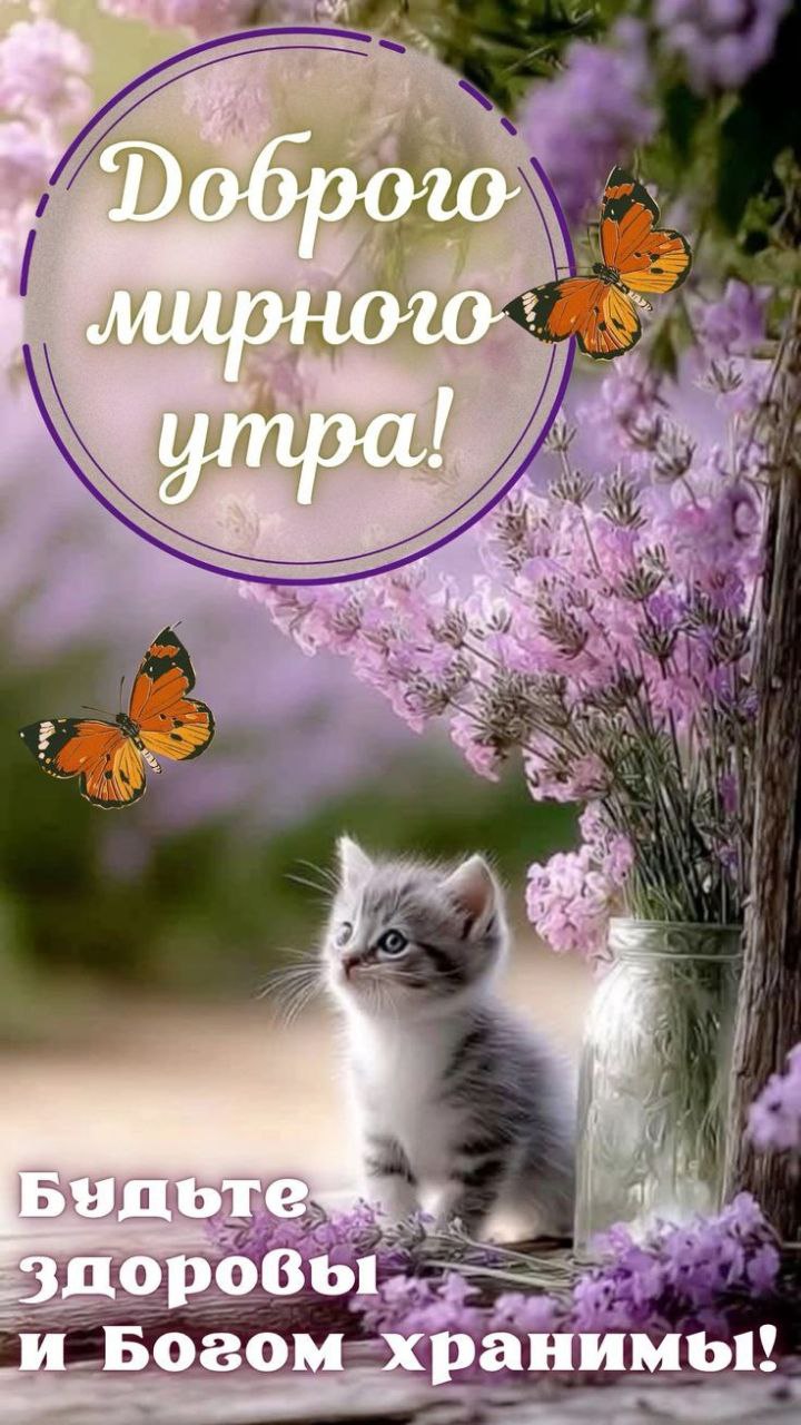 Утренние картинки