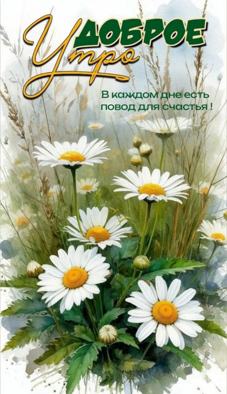 Утренние картинки