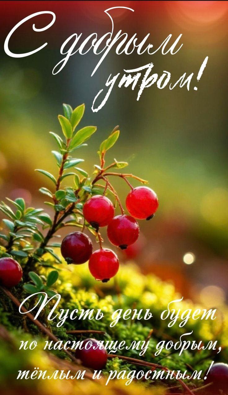 Утренние картинки