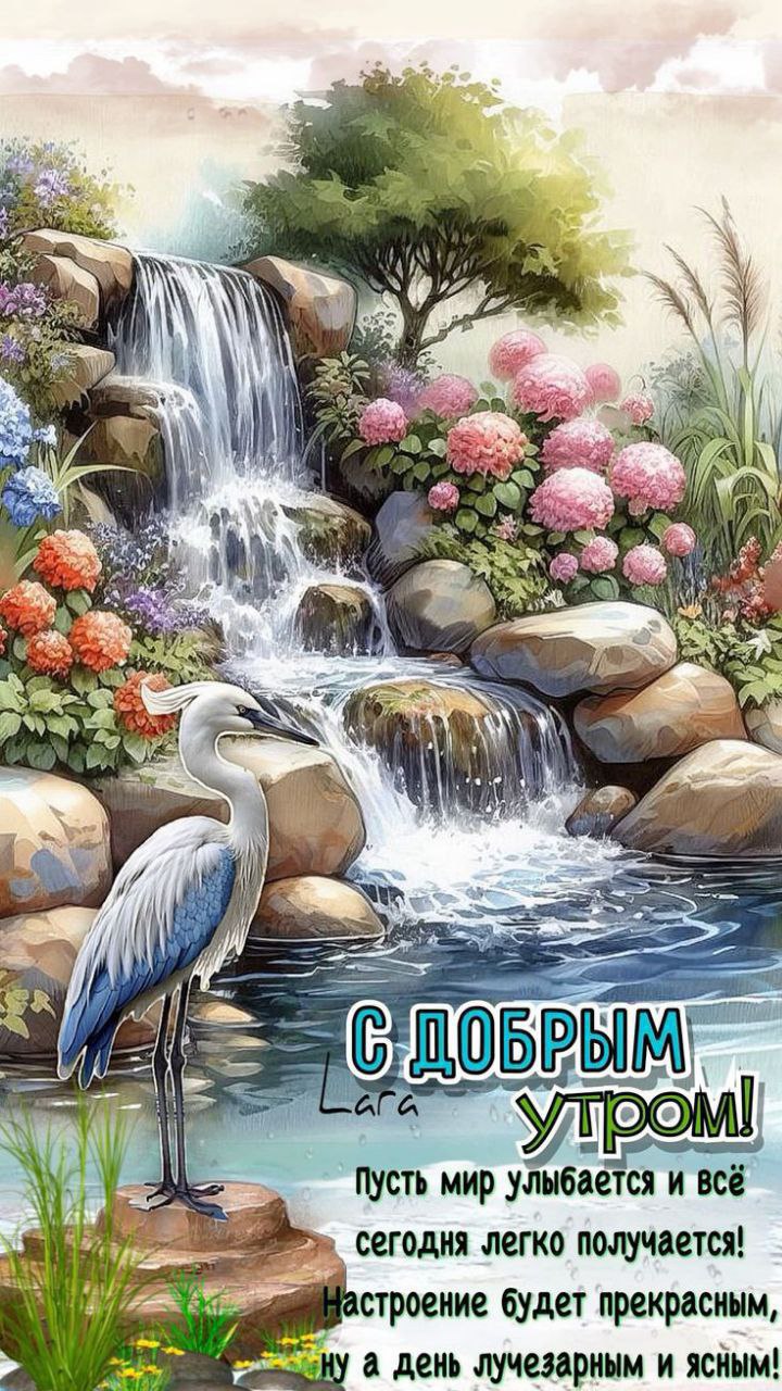 Утренние картинки