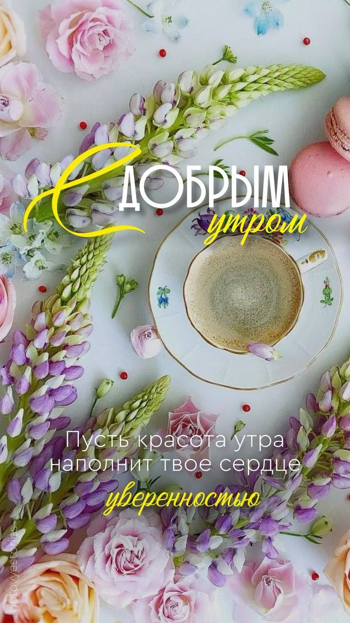 Утренние картинки