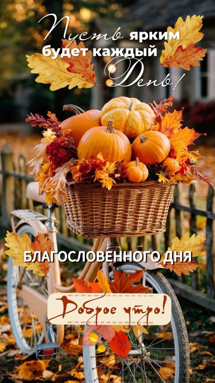 Утренние картинки