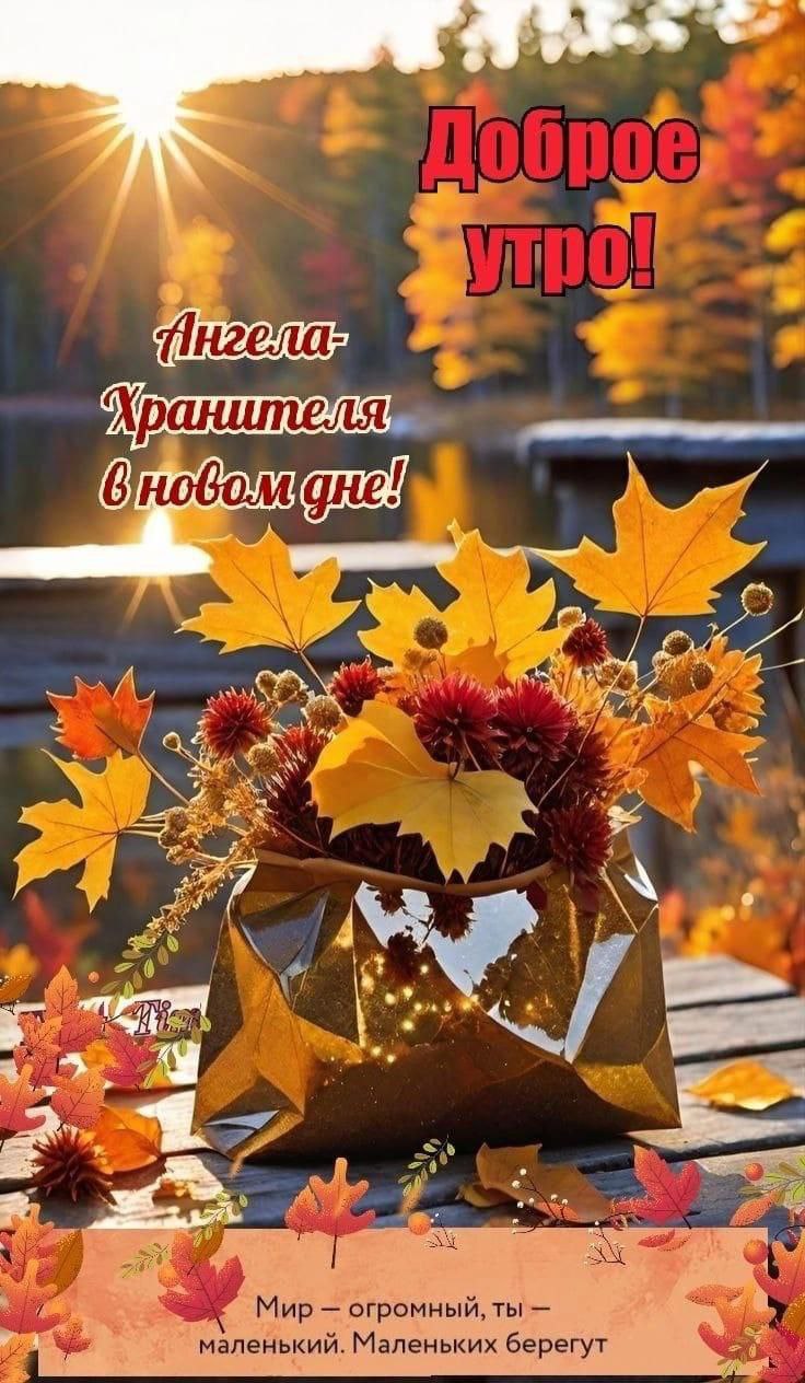 Утренние картинки