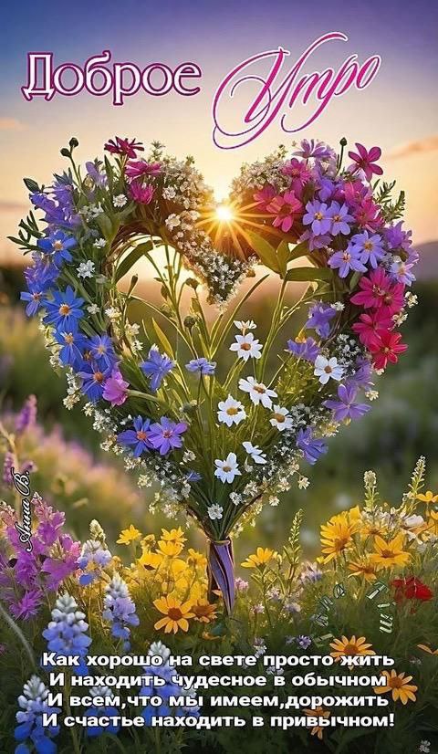 Утренние картинки