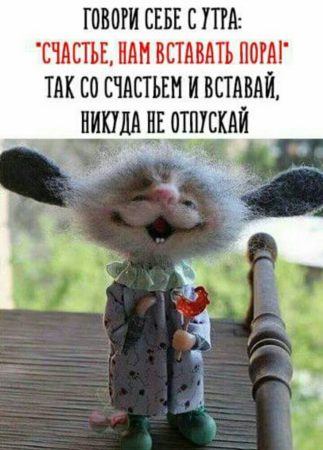 Утренние картинки