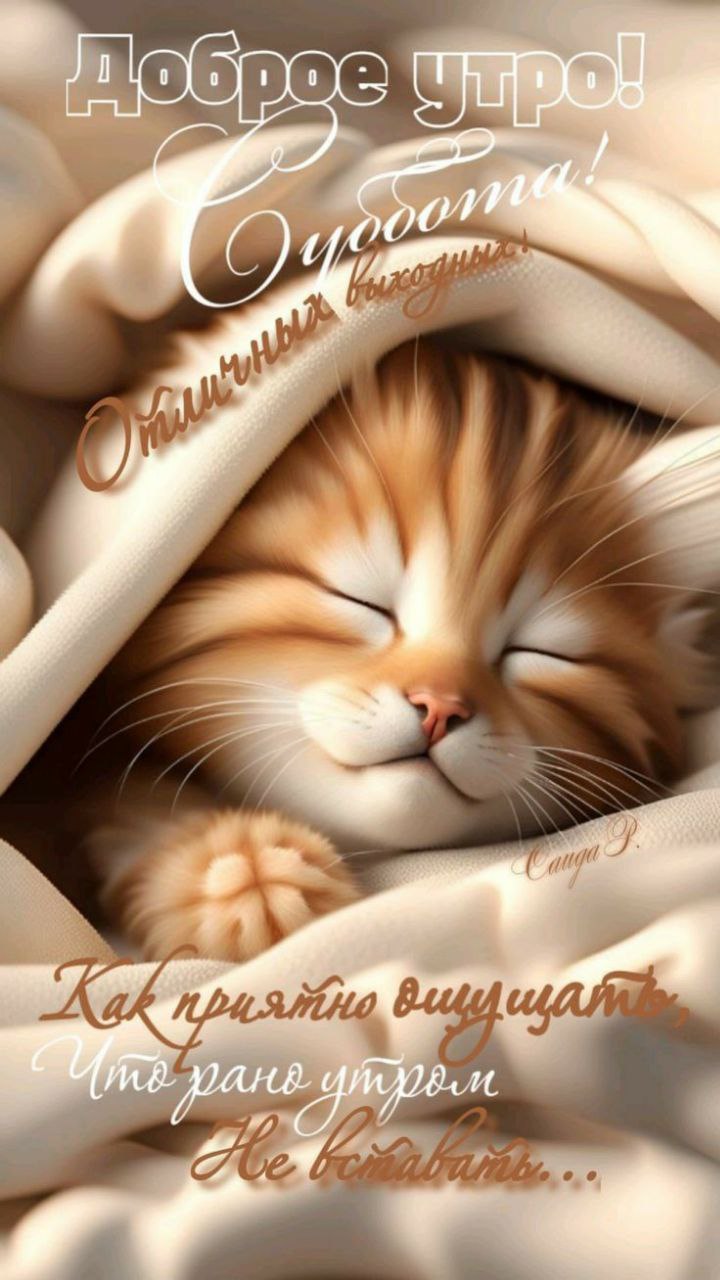 Утренние зимние картинки